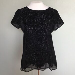 Ann Taylor Loft black velvet laser-cut peekaboo short-sleeve top